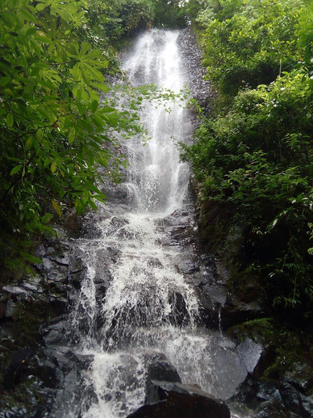 Container Beija-flor Com E Cachoeira Brotas